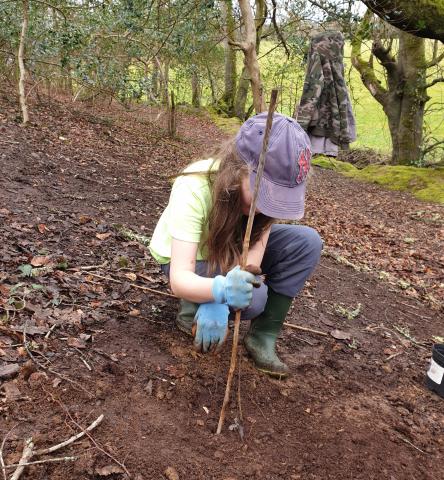 Volunteer tree Planting at Coosebean Girl planting a tree