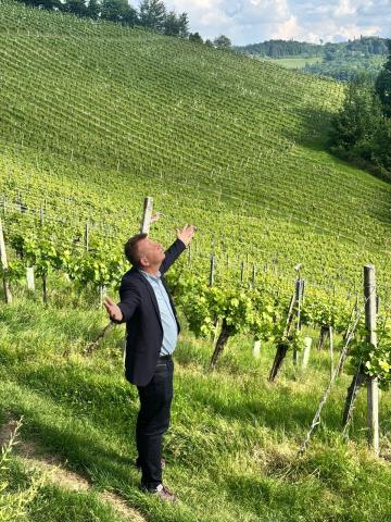 Vineyards always serve as an inspiration for food innovation Vineyards always serve as an inspiration for food innovation