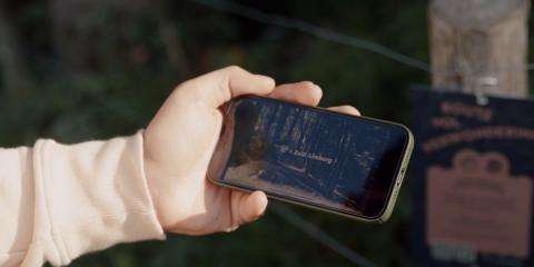 Person holding a smartphone using and watching a video within a 360 degrees tour