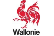 Logo of Wallonie Region