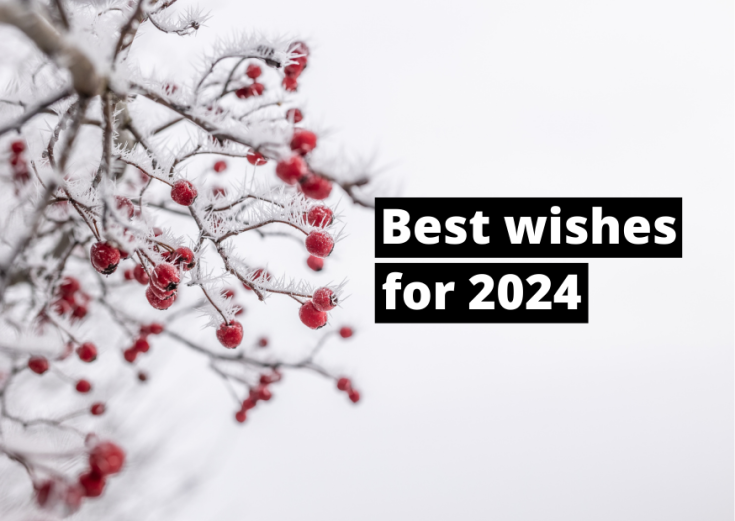 Best wishes for 2024 from Interreg Europe snowy branches with red berries and text saying best wishes for 2024