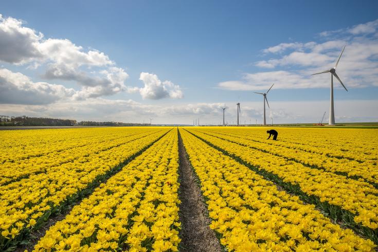 wind energy wind park