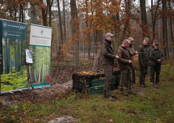 In the autumn-brown forest, two roll-ups stand next to a group of men demonstrating tree-planting tools.