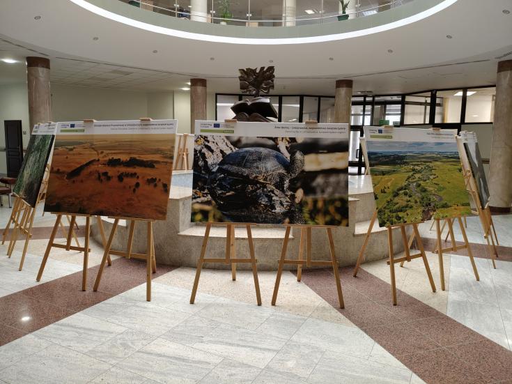 Large printed photos on stands in a circle in a bright oval in the university lobby.