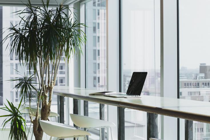 A laptop on a table next to a plant