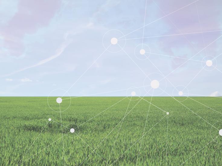 Grass and sunny blue sky, geometrical connected dots over