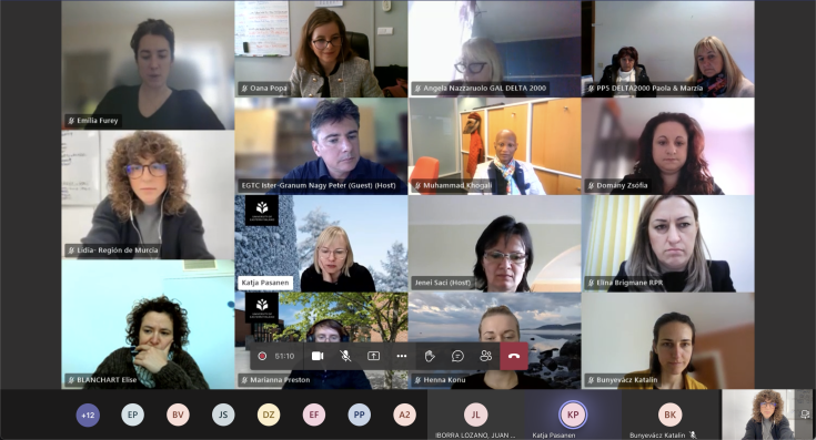 Online kick-off meeting of Slowdown project. Screenshot of the online meeting.