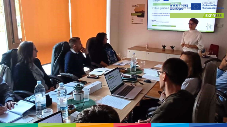 REDEA's stakeholder focus group 