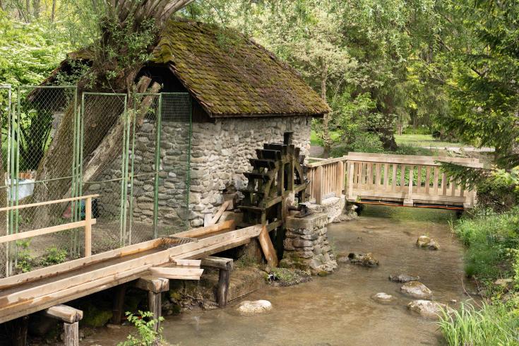 The image shows a watermill and a river