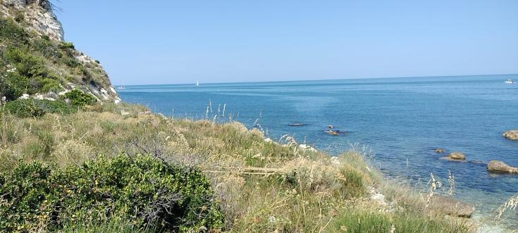 Blue Adriatic Sea on the back and rocky hills growing hay in the front of the image.