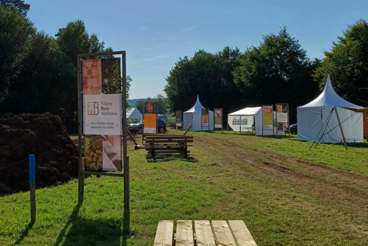 Sunny Day at Demoforest 2024: Filière Bois Wallonie's Booth A sunny outdoor scene at the Demoforest 2024 forestry fair in Belgium, showcasing a wooden table in the foreground and a Filière Bois Wallonie promotional banner in the background, along with tents and other exhibition areas.