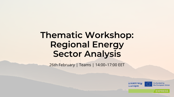 Thematic Workshop: Regional energy sector analysis