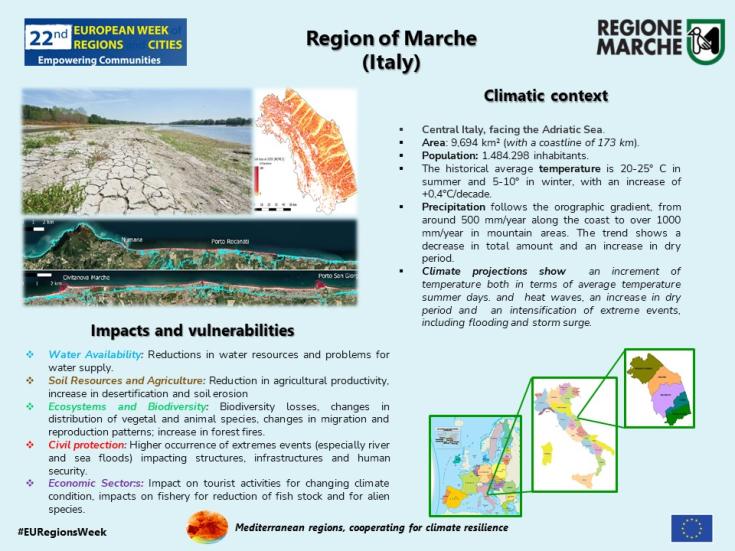 Infographic on experiences in European Week of Regions, inludes four images and text.