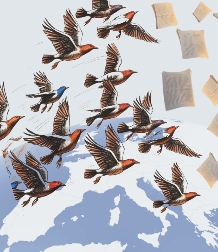 Interreg Europe EUM Power image depicting birds flying over the European continent Interreg Europe EUM Power image depicting birds flying over the European continent