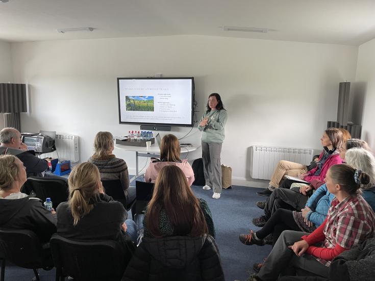 A woman making a presentation in small meeting room
