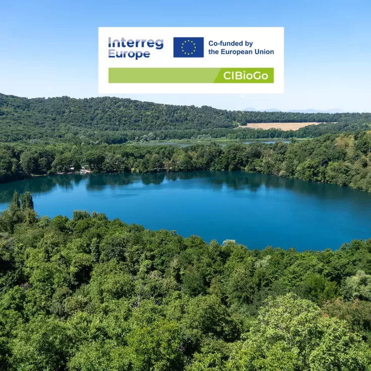 There is a landscape, a lake, trees, flowers