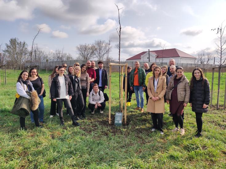 You can see people on a tree planting event