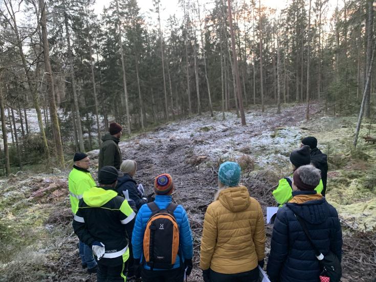 GIFT project stakeholders in Sweden exploring non-clearcutting forestry in the field. A group of people viewing a small forest regeneration gap.