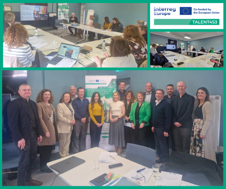 RSG meeting in Cork, Ireland