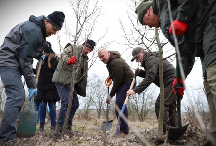 People in a circle planting trees in a foggy field area. Brown winter jackets on and hats in the head.