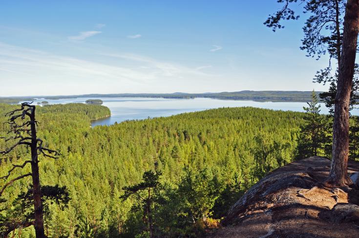 Image from high on top of the hill, green coniferous forest and a lake visible below and in distant.