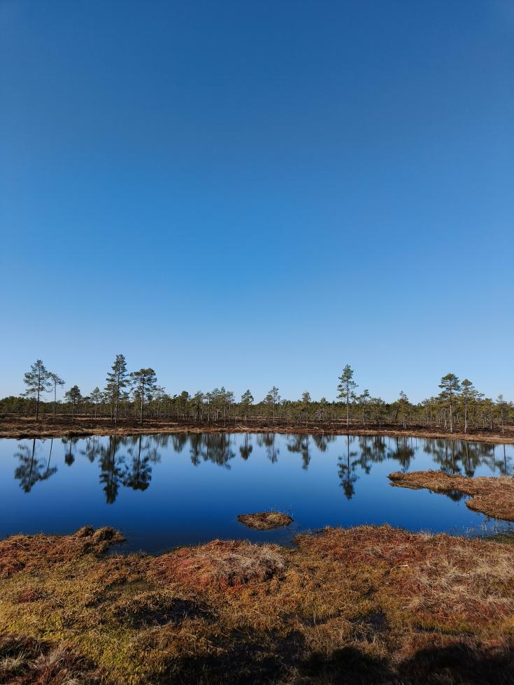 Lintuneva nature conservation area