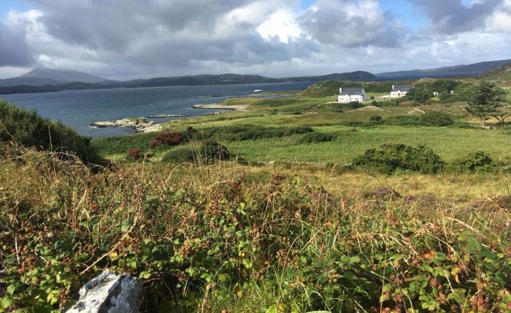 Lush and green irish coast Lush and green irish coast