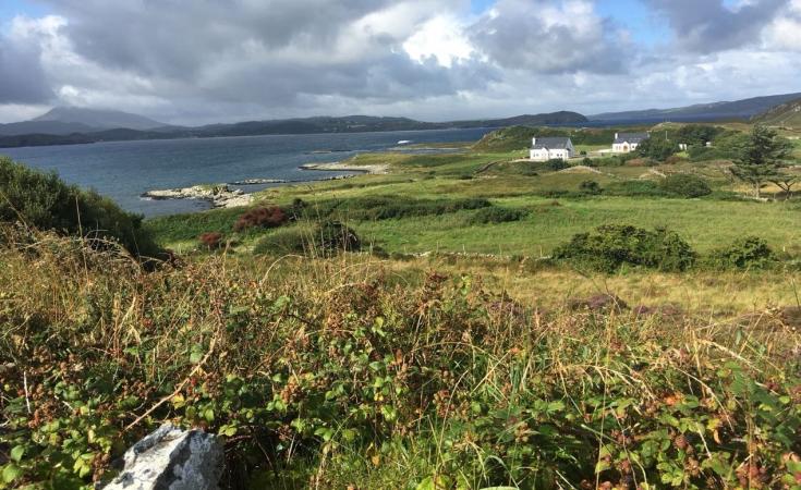 Lush and green irish coast