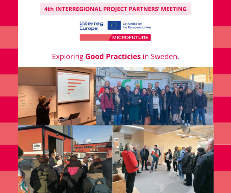 4th pp meeting held in sweden
