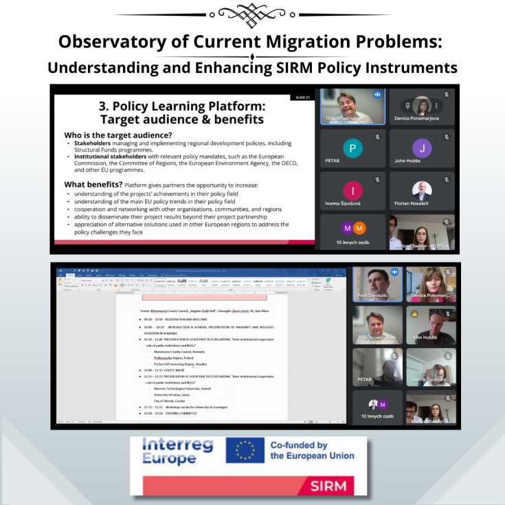 3rd OCMP - Understanding and Enhancing SIRM Policy Instruments Print Screens of online meeting during presentation