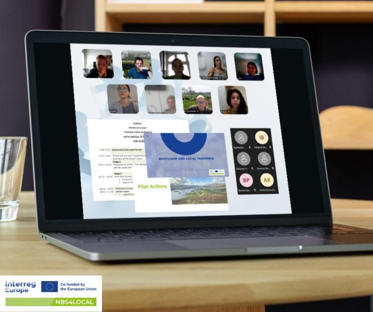 graphic showing the online thematic meeting of NBS4LOCAL project