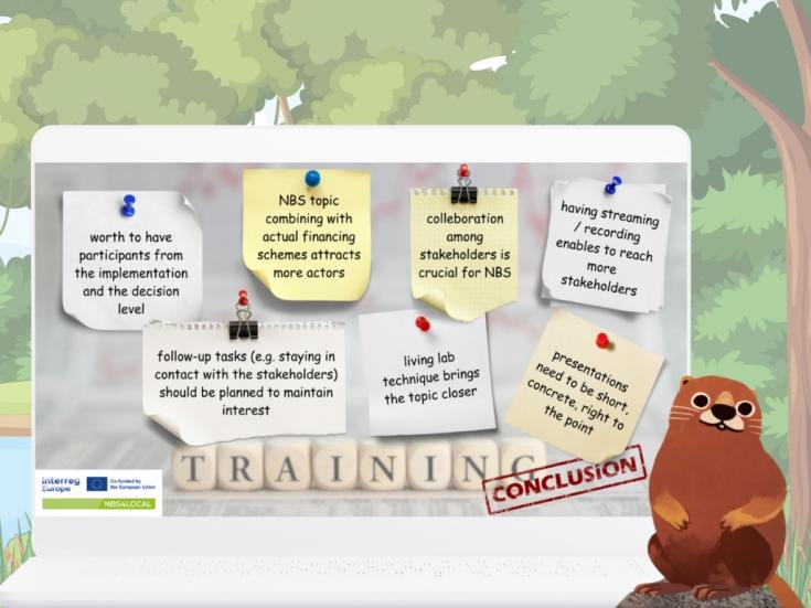 Conclusions of the NBS4LOCAL regional trainings