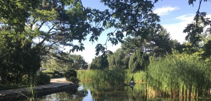 Park with pond