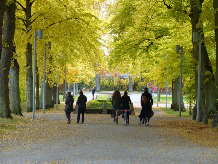 People moving through a park