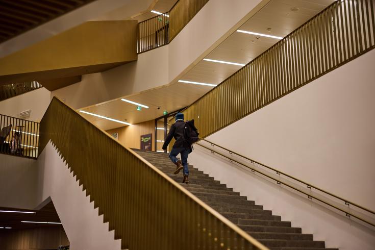 Person walking up the stairs Person walking up the stairs
