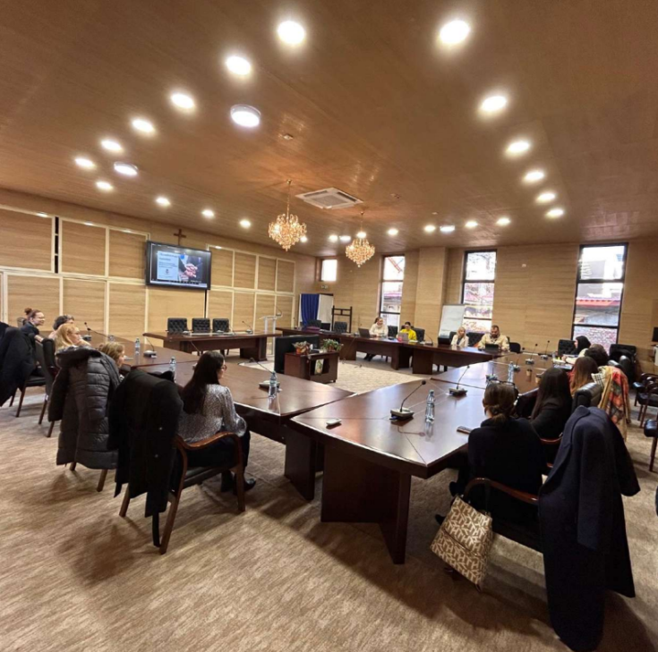 On this picture, you can see the project partners during the meeting.