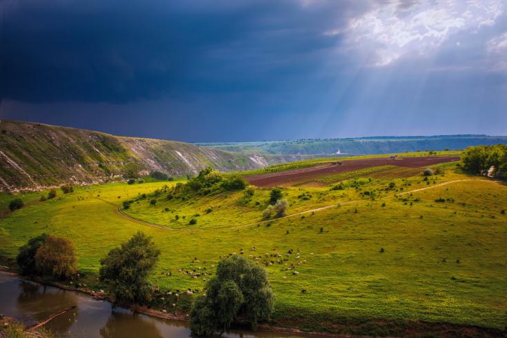 Picture - Moldova.JPG
