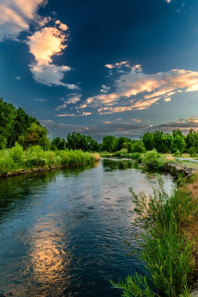 River in nature