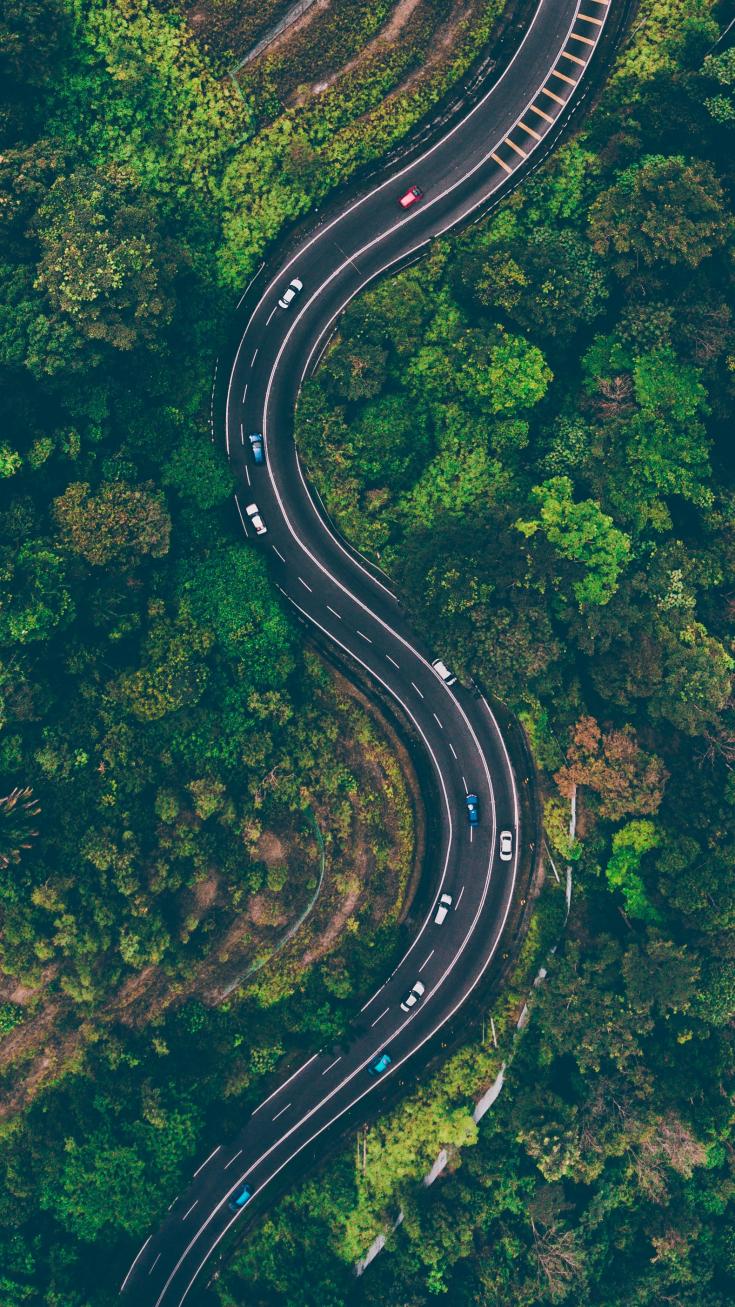 road going through forest