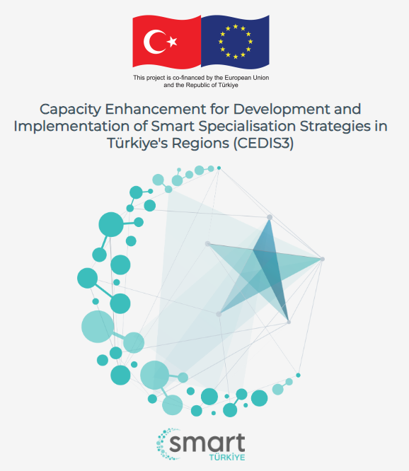 CEDIS3 Turkiye Turkish and EU flag above text on S3 strategy project