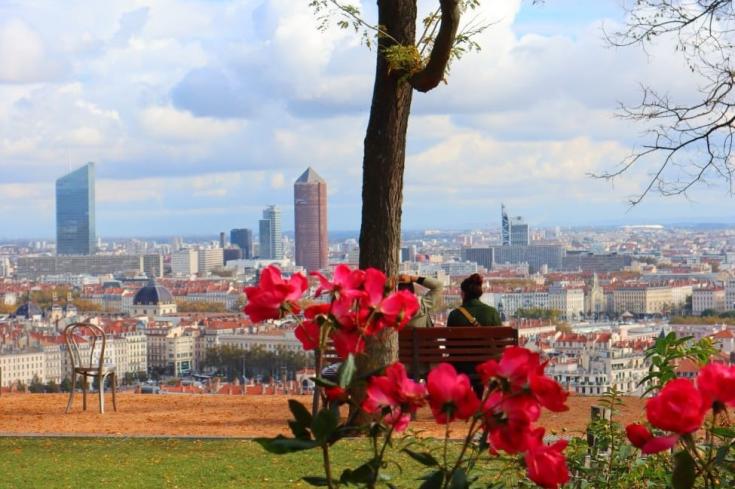 View of a city from a parc on a hill View of a city from a parc on a hill