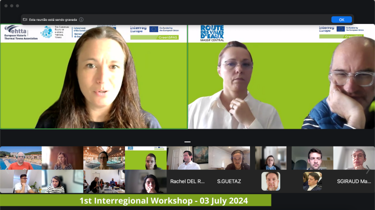 Print screen with people on a green background in a Zoom Call