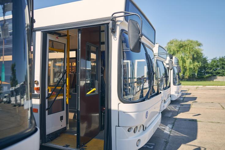 White busses lined up