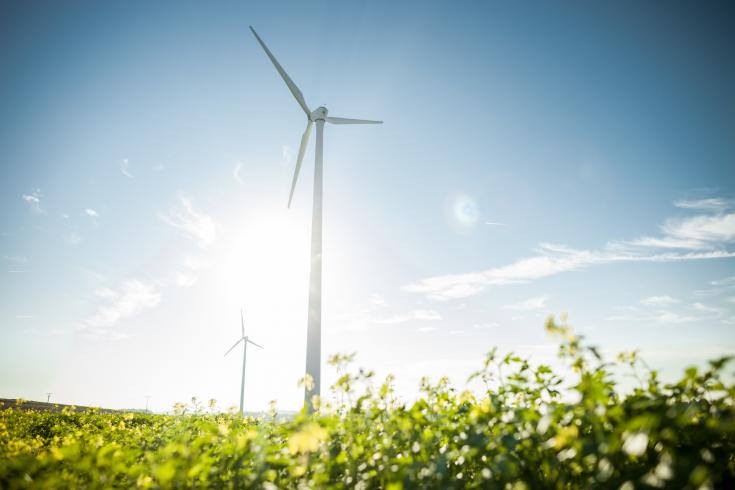 Wind turbine standing in field