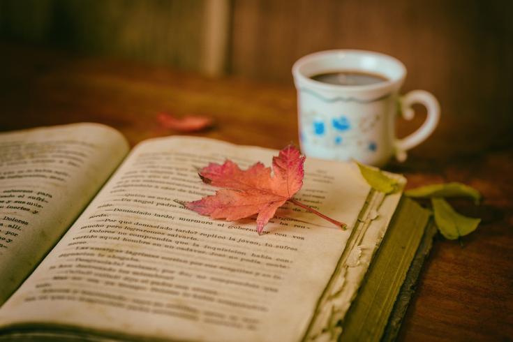 Book, tea and leaf Back to frugality