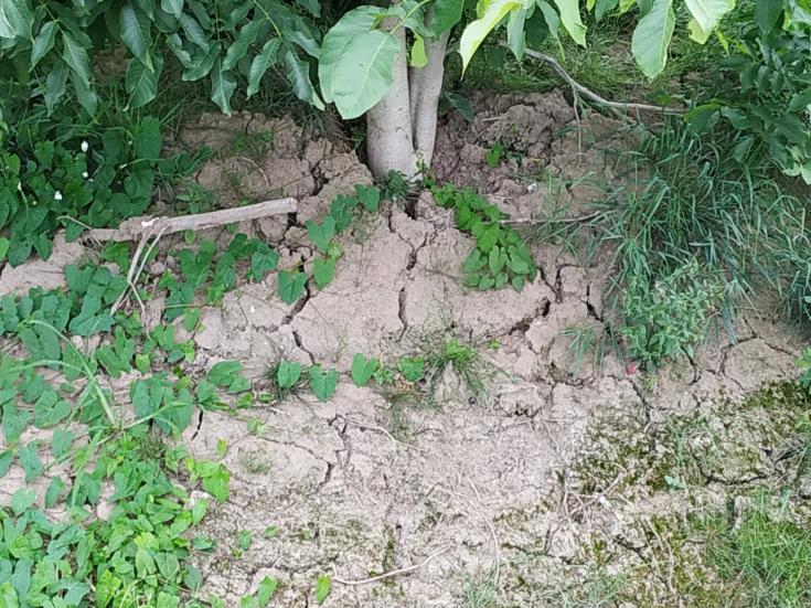 Dry soil due to drought Dry soil due to drought