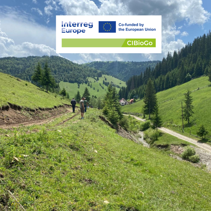 Second peer review visit, 1° day there is a landscape with trees