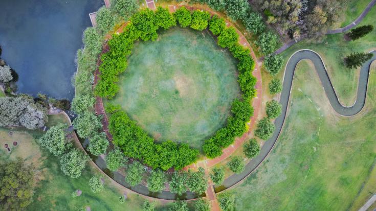 trees; green; water; circularity; nature; environment