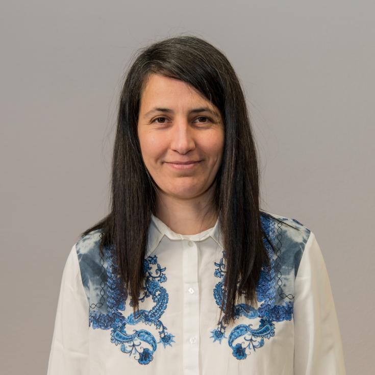 Adela Pagès: Pioneering Solutions in Operations Research Adela Pagès: Pioneering Solutions in Operations Research