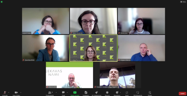 On this picture, you can see the project partners during the online meeting.